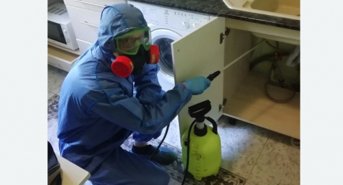 Уничтожение муравьев в квартире. Янаул