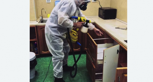 Уничтожение насекомых в квартире. Янаул