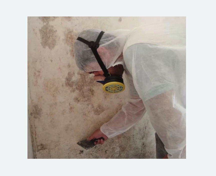 Обработка стен от плесени в Янауле