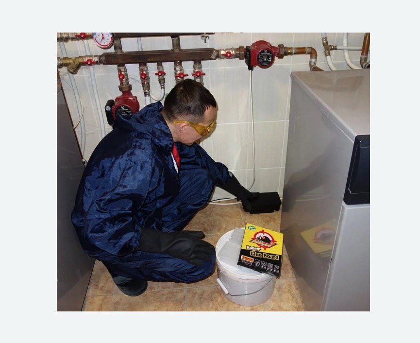 Уничтожение крыс в Янауле