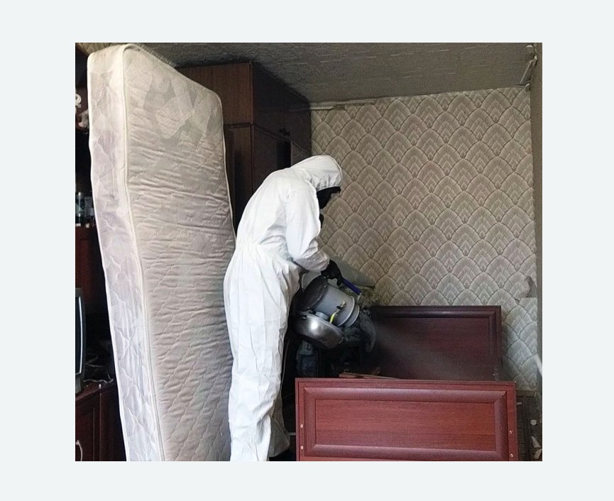 дезинфекция от клопов в Янауле